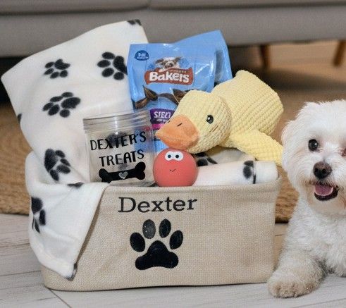 Luxury Personalised Dog Hamper